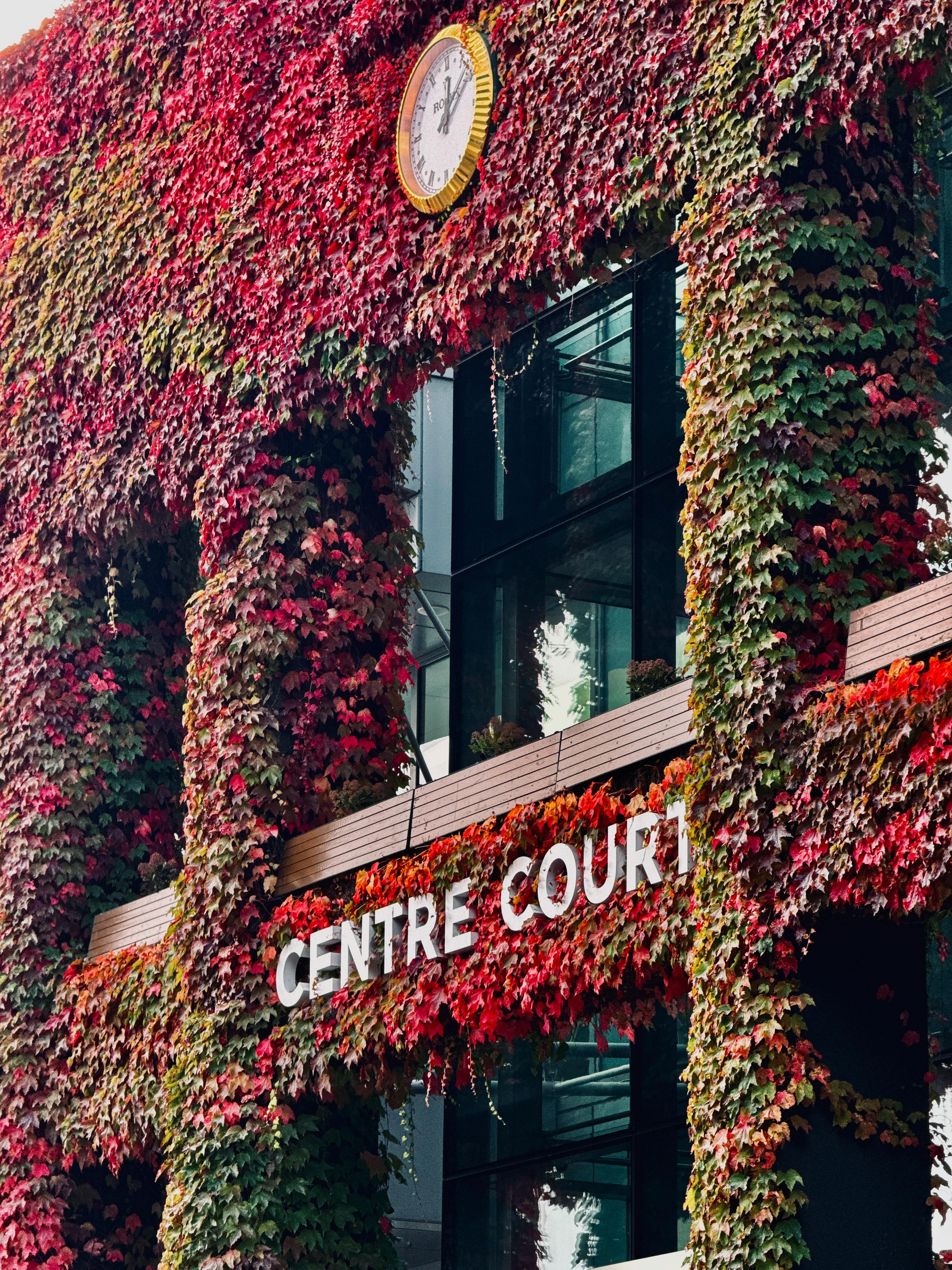 The ivy-covered exterior of Centre Court at the All England Lawn Tennis Club in Wimbledon.